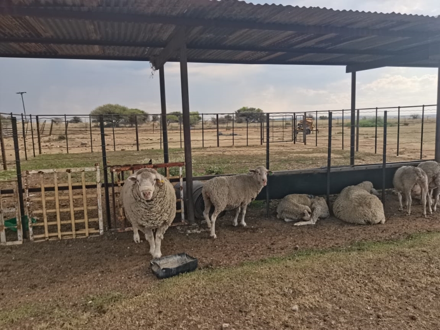 Commercial Property for Sale in Bultfontein Rural Free State